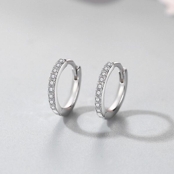 S925 Sterling Silver Women's Korean-style Simple Special-interest Design Micro Rhinestone Earrings - Image 2