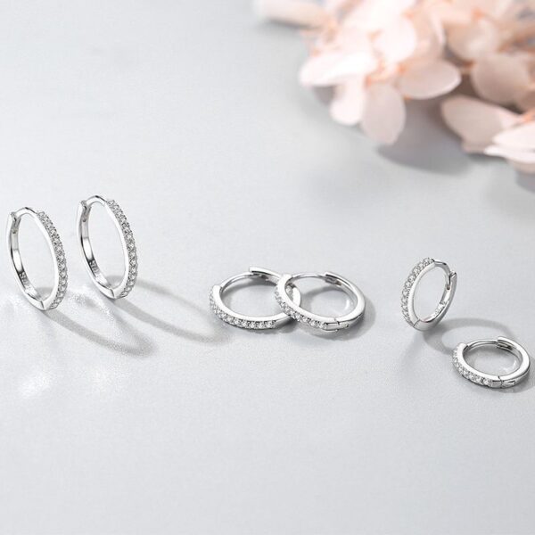 S925 Sterling Silver Women's Korean-style Simple Special-interest Design Micro Rhinestone Earrings - Image 3